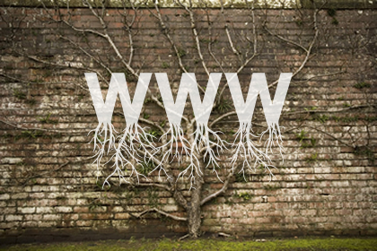 wwwroots